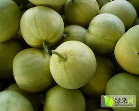 海盐 吃瓜,吃瓜新风尚