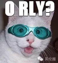 吃瓜炸裂搞笑图片,炸裂搞笑图片带你领略欢乐瞬间