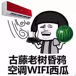 吃瓜胖不,揭秘美食与身材管理的平衡之道