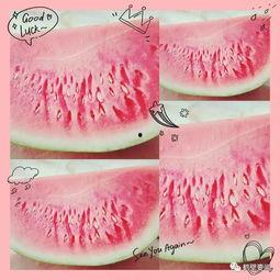 鹤壁事件吃瓜,揭秘网络暴力下的真相与反思