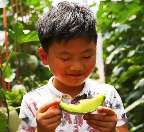 初恋纪念日 吃瓜,重温那段青涩岁月的纪念日