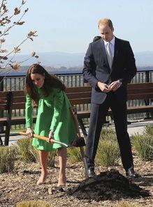 吃瓜群众惊艳片段,揭秘娱乐圈幕后故事