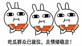 冷漠吃瓜人,看透人间烟火，笑对人生百态