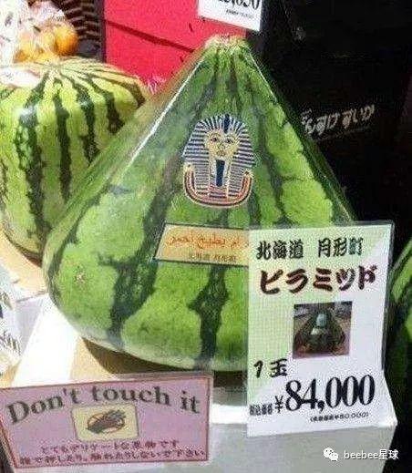 曾经我们是吃瓜群众,我们的成长轨迹