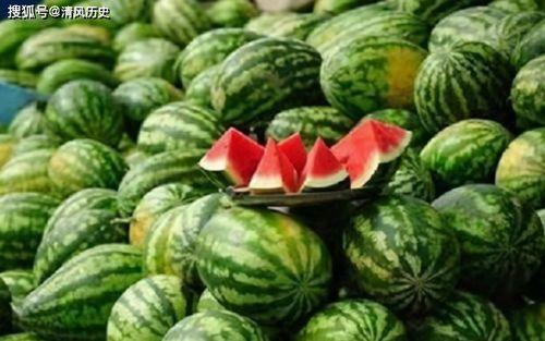 吃瓜251,一场网络热词背后的文化现象