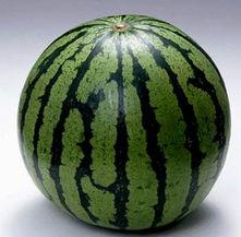 吃瓜比赛片尾素材视频,吃瓜比赛精彩瞬间回顾