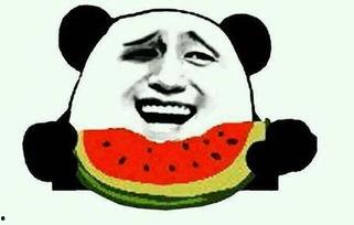 吃董瓜瘦吗,揭秘吃董瓜真的能瘦吗？