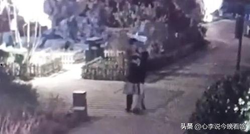 成县吃瓜事件视频播放,视频曝光引发网友热议