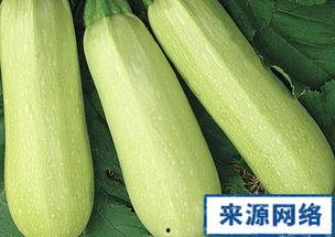 孕期吃西葫芦瓜,西葫芦瓜的营养价值与食用建议