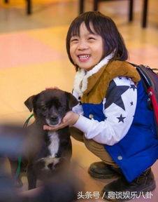 吃瓜说kimi,揭秘明星背后的故事与成长