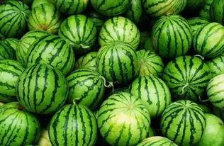 最强吃瓜视频全集