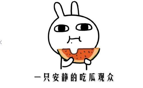 什么叫你有瓜吃,揭秘那些你不知道的幕后故事，让你有瓜吃