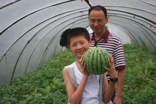 吃麒麟瓜会头晕,揭秘吃后头晕的神奇现象