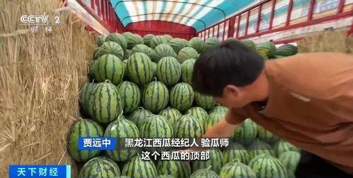 金池吃瓜,揭秘娱乐圈幕后故事