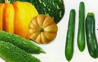 小晓吃瓜,揭秘娱乐圈那些不为人知的幕后故事