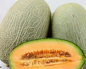 吃哈密瓜好,夏日消暑佳选