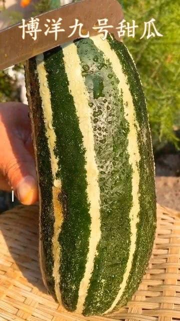 这些瓜你有吃吗,品味生活——揭秘“根据这些瓜你有吃吗”的甜蜜诱惑