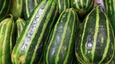 这些瓜你有吃吗,品味生活——揭秘“根据这些瓜你有吃吗”的甜蜜诱惑