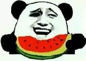 这些瓜你有吃吗,品味生活——揭秘“根据这些瓜你有吃吗”的甜蜜诱惑