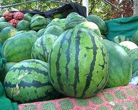 夸克上怎么吃瓜,解锁便捷美食新体验