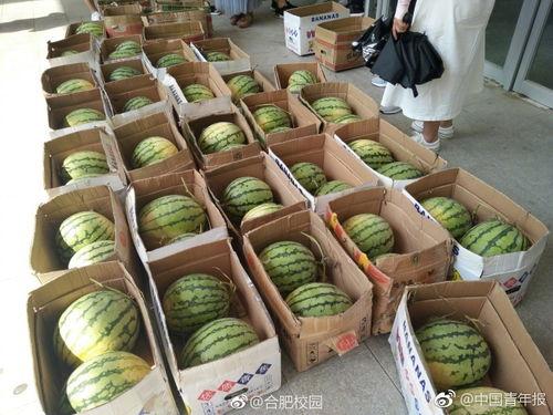 吃瓜校园网,吃瓜校园网带你领略校园风云